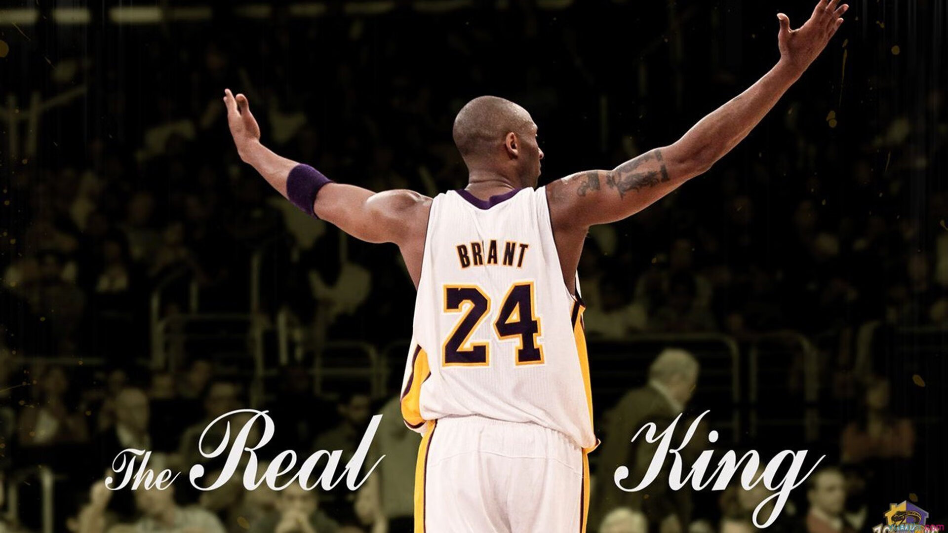 加克波高光表现照亮新荷兰，巴萨元素掀翻巴拉圭传统