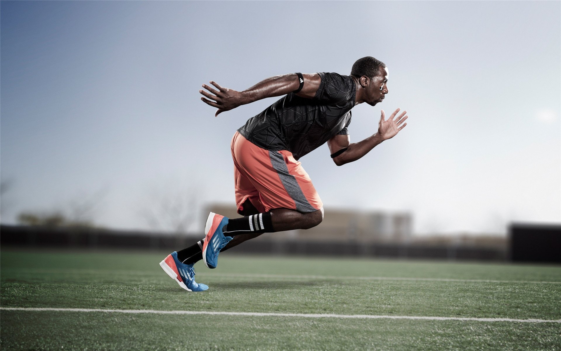 掌控节奏的艺术，霍勒迪如何主导山西与辽宁的战术博弈